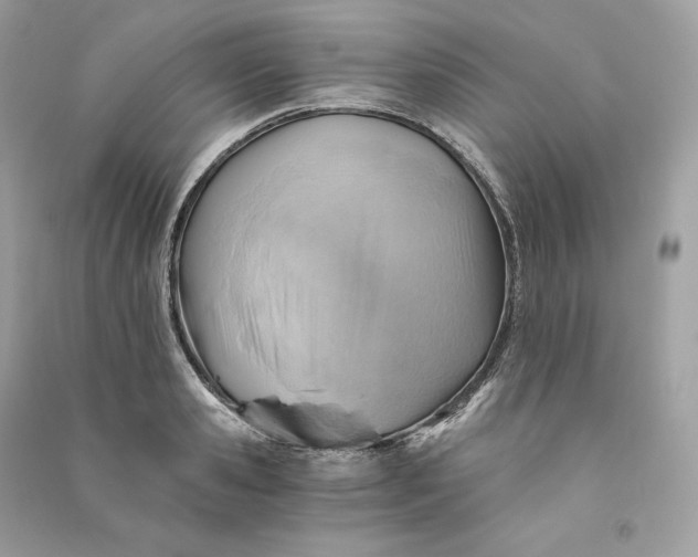 X0000090780941200708101830