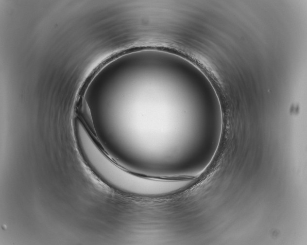 X0000090780942200708101830