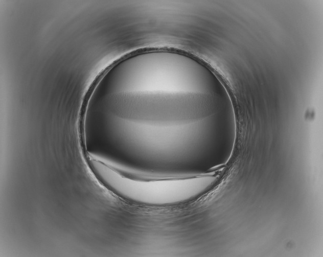 X0000090780943200708101830
