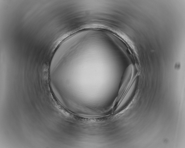 X0000090780945200708101830