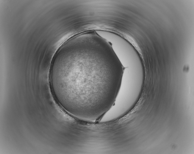 X0000090780946200708101830