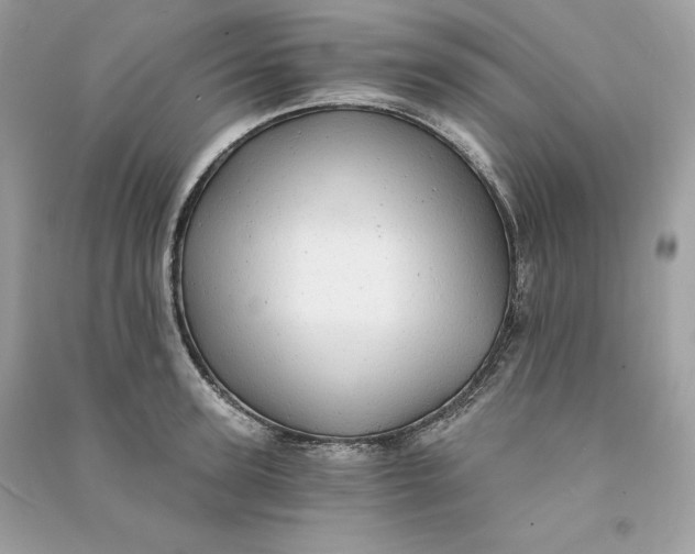 X0000090780947200708101830