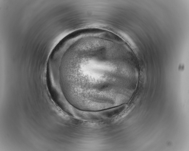 X0000090780948200708101830