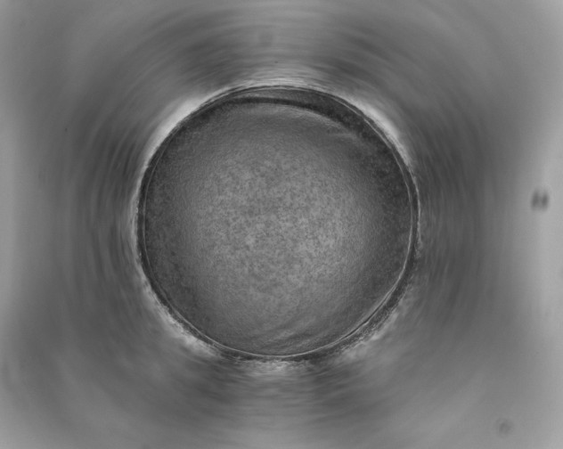 X0000090780949200708101830