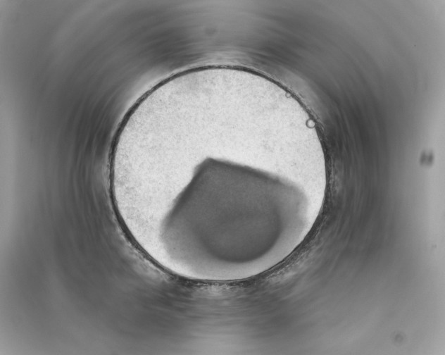 X0000090780950200708101830