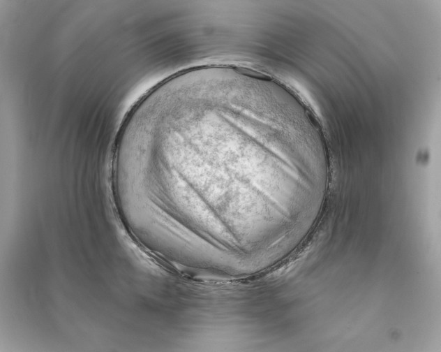 X0000090780952200708101830