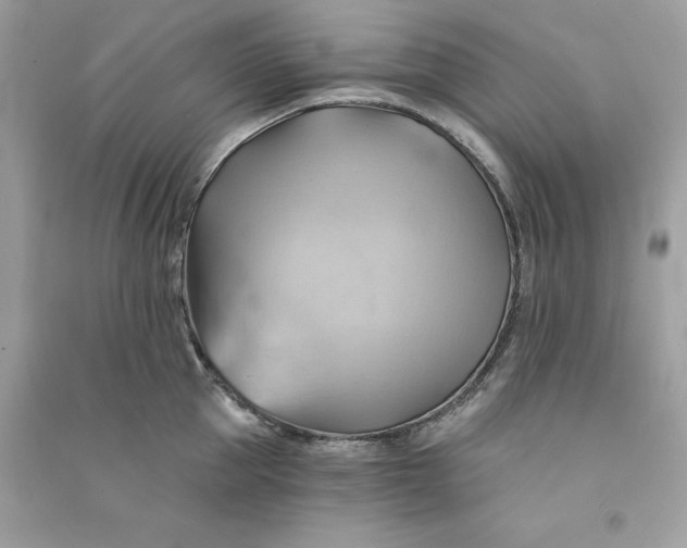 X0000090780953200708101830