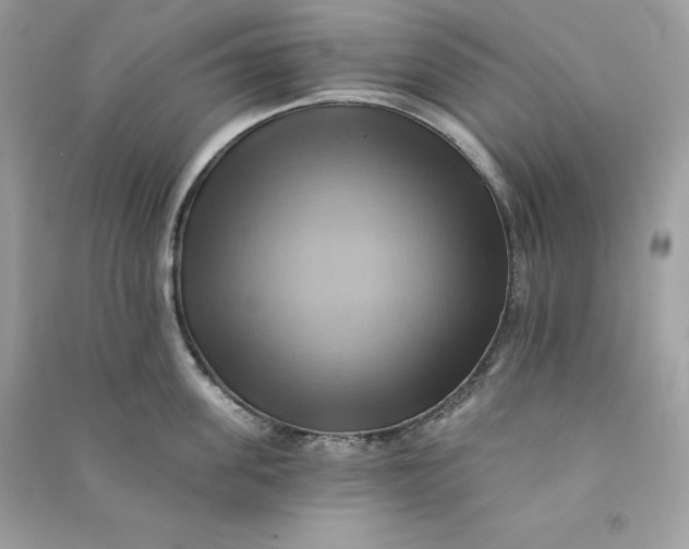 X0000090780955200708101830