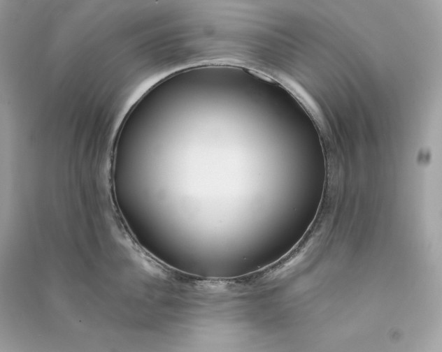 X0000090780956200708101830