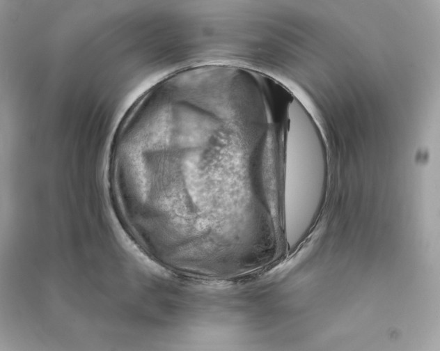 X0000090780957200708101830