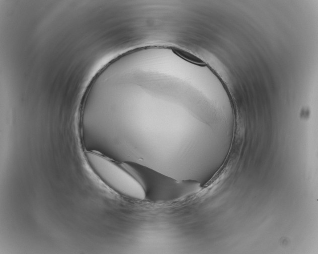 X0000090780958200708101830