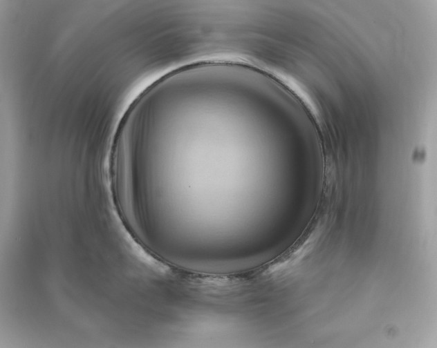 X0000090780959200708101830