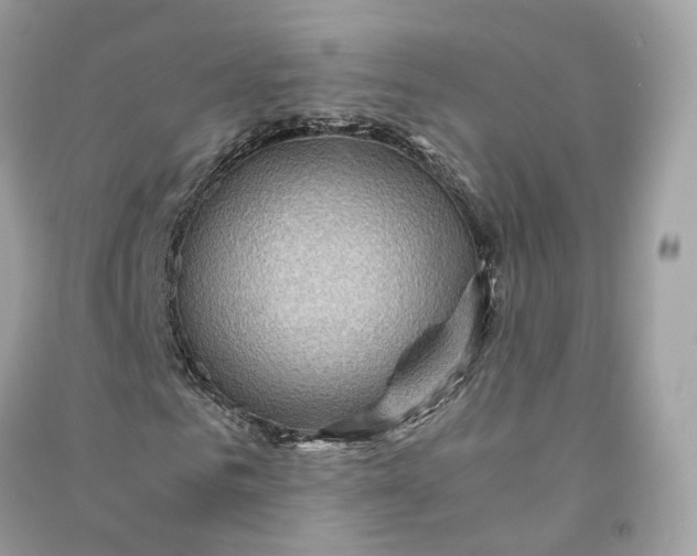 X0000090780961200708101829