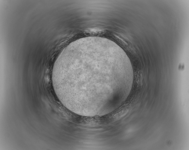 X0000090780962200708101829