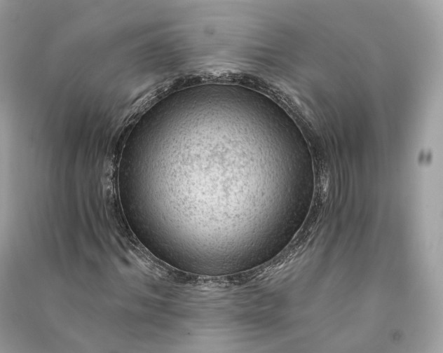 X0000090780964200708101829