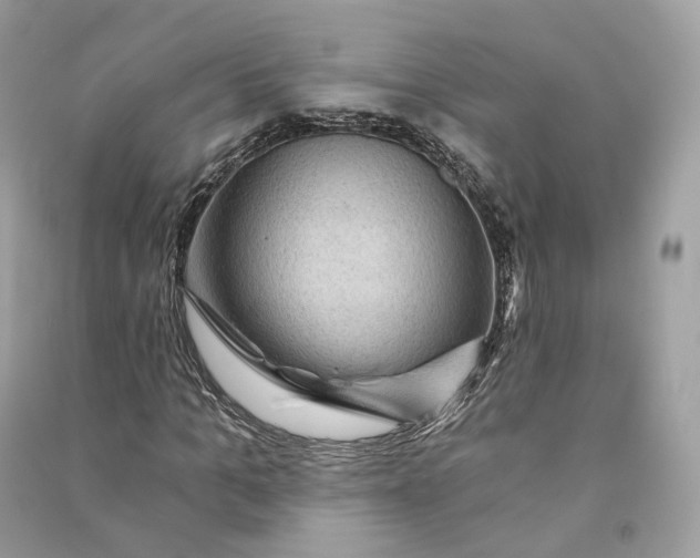 X0000090780965200708101829