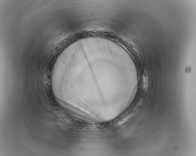 X0000090780966200708101829