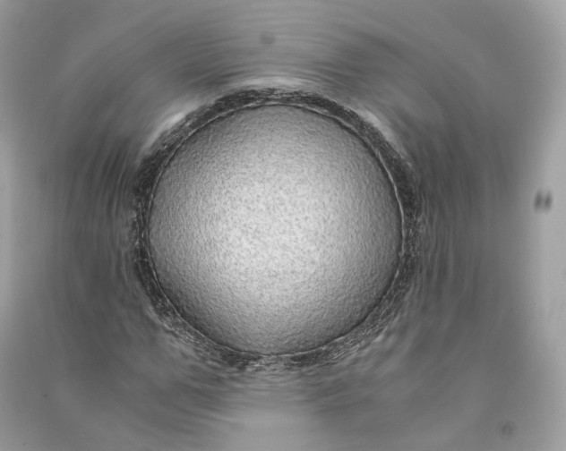X0000090780967200708101829
