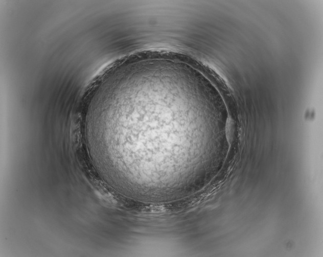 X0000090780968200708101829