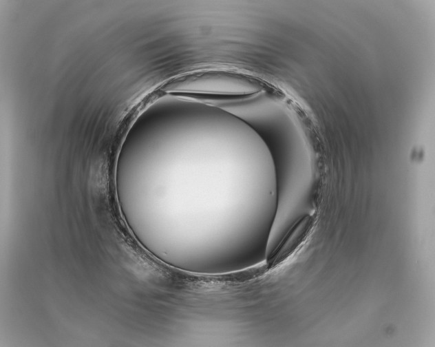 X0000090780969200708101829