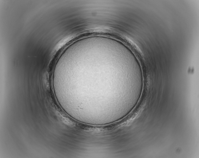 X0000090780970200708101829