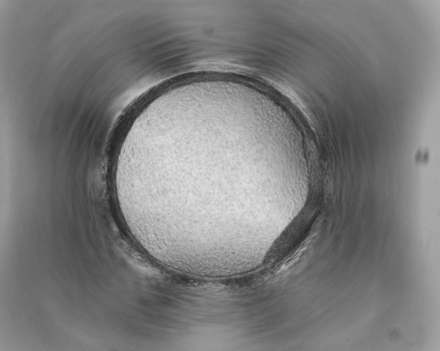 X0000090780971200708101829