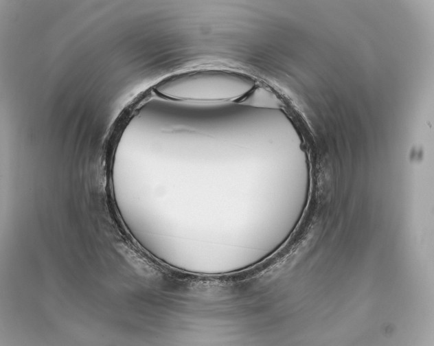 X0000090780973200708101829