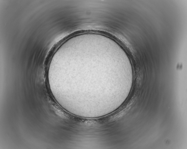 X0000090780974200708101829