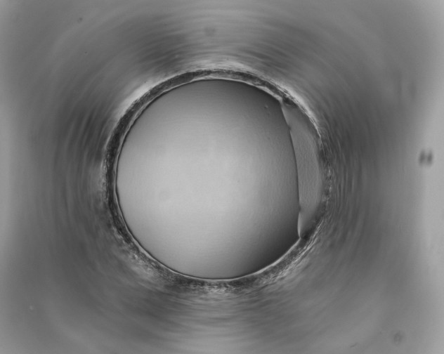 X0000090780975200708101829