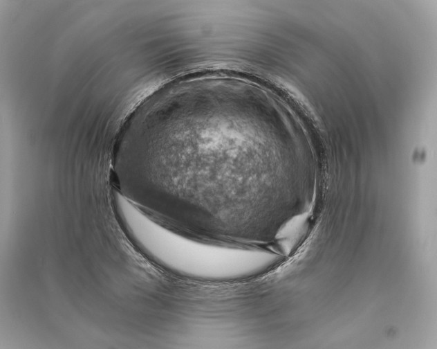 X0000090780977200708101829
