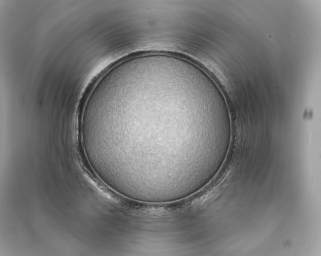 X0000090780982200708101829