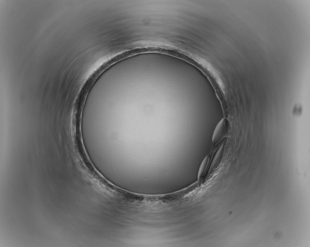 X0000090780983200708101829