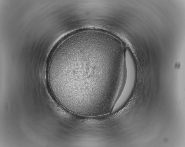 X0000090780984200708101828