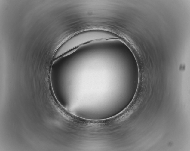X0000090780985200708101828