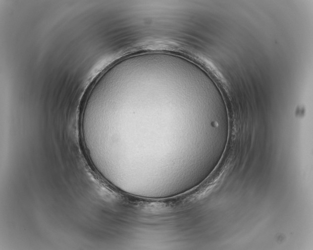 X0000090780986200708101828