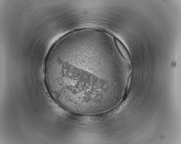 X0000090780987200708101828