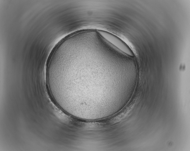 X0000090780988200708101828