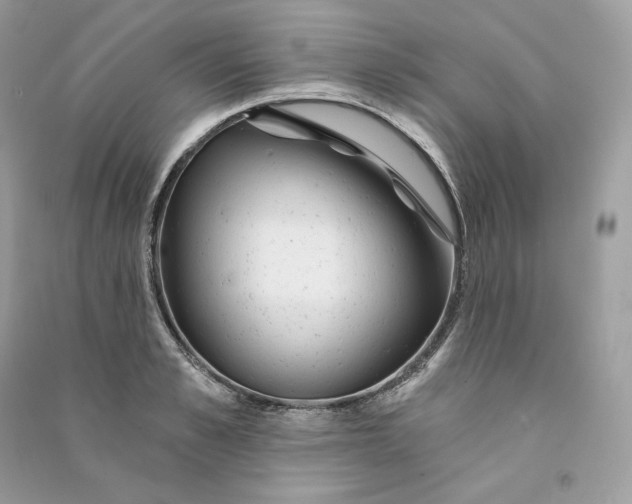 X0000090780989200708101828