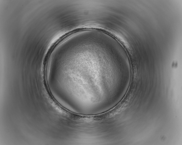 X0000090780990200708101828
