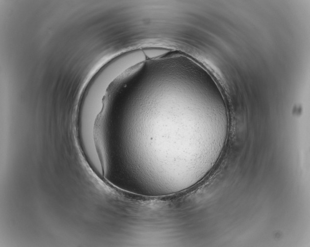 X0000090780992200708101828