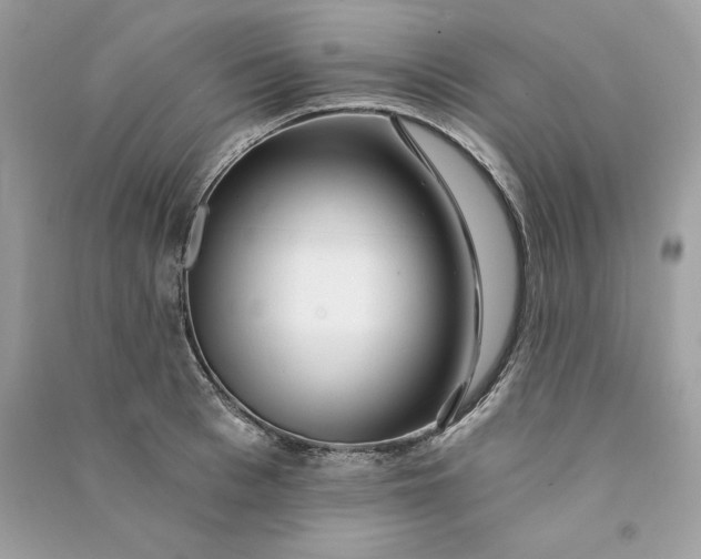X0000090780993200708101828