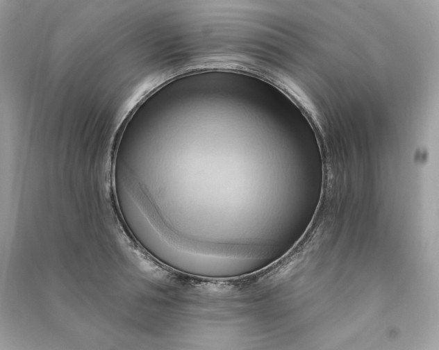 X0000090780994200708101828