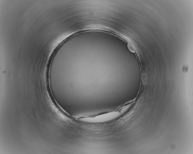 X0000090780995200708101828