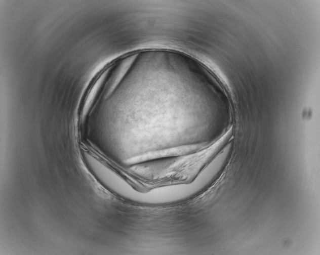 X0000090780996200708101828