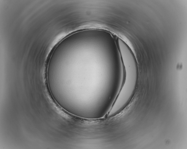 X0000090780997200708101828
