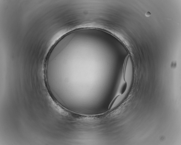 X0000090780998200708101828