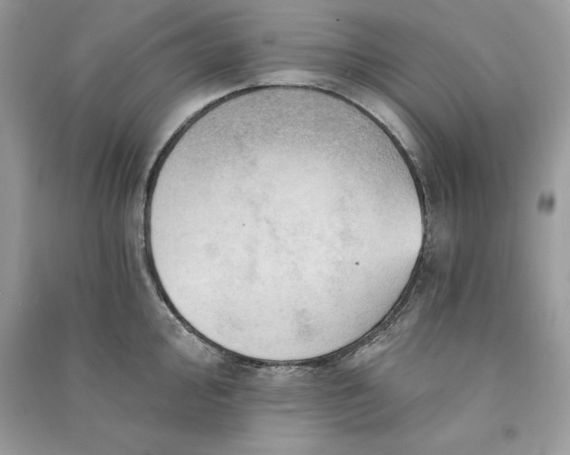 X0000090781000200708101828
