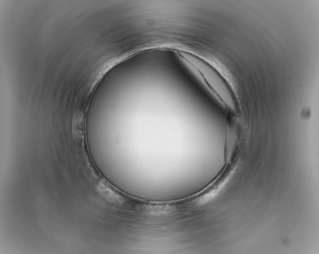 X0000090781001200708101828