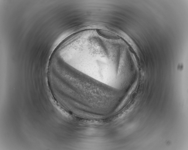 X0000090781002200708101828