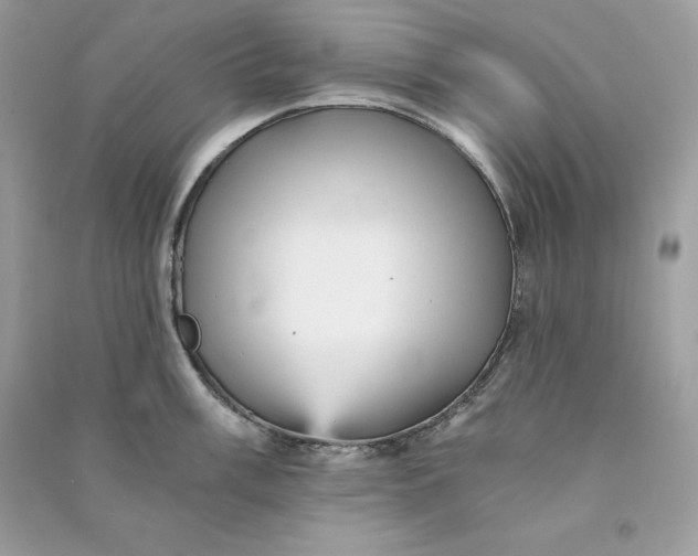 X0000090781003200708101828